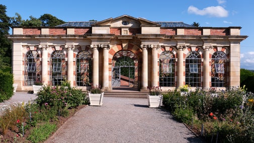 Tyntesfield's Orangery during summer, showing rows and pots of flowers.